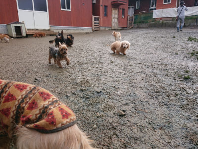f:id:roukenhome-ann:20190121145720j:plain