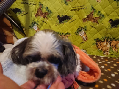 f:id:roukenhome-ann:20190121153251j:plain