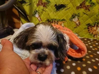 f:id:roukenhome-ann:20190121153255j:plain