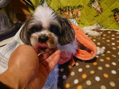 f:id:roukenhome-ann:20190121153326j:plain