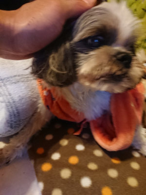 f:id:roukenhome-ann:20190121153331j:plain