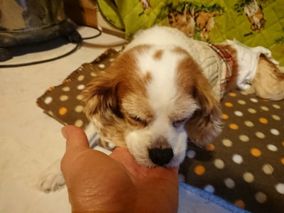 f:id:roukenhome-ann:20190121153340j:plain