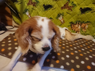 f:id:roukenhome-ann:20190121153412j:plain