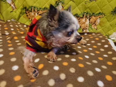 f:id:roukenhome-ann:20190121153447j:plain