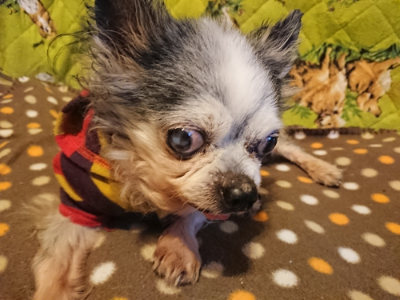 f:id:roukenhome-ann:20190121153503j:plain