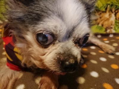 f:id:roukenhome-ann:20190121153511j:plain