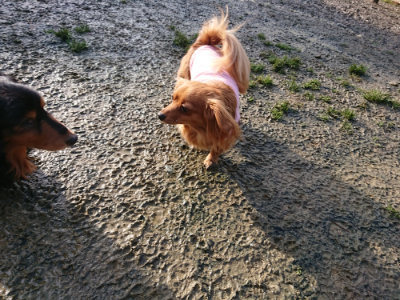 f:id:roukenhome-ann:20190121153522j:plain