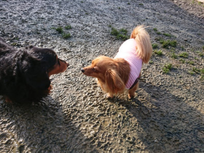 f:id:roukenhome-ann:20190121153528j:plain