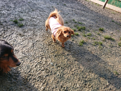 f:id:roukenhome-ann:20190121153601j:plain