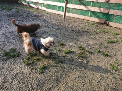 f:id:roukenhome-ann:20190121153618j:plain