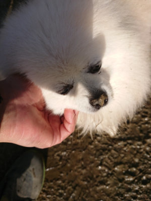 f:id:roukenhome-ann:20190121153718j:plain