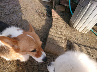 f:id:roukenhome-ann:20190121180858j:plain