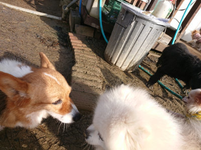 f:id:roukenhome-ann:20190121180939j:plain