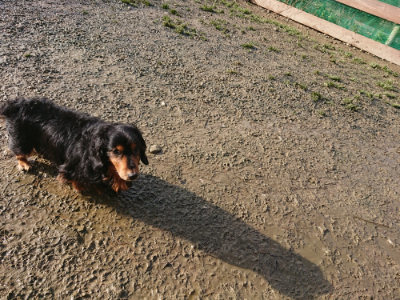 f:id:roukenhome-ann:20190121181044j:plain