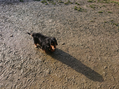 f:id:roukenhome-ann:20190121181222j:plain