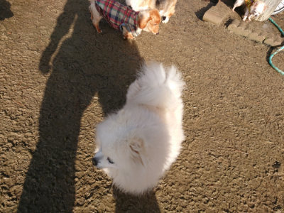 f:id:roukenhome-ann:20190121181233j:plain