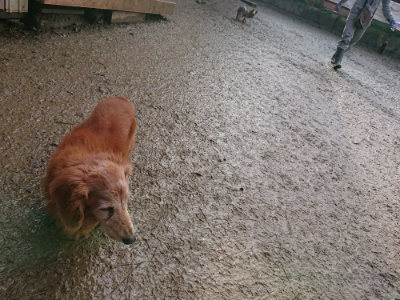 f:id:roukenhome-ann:20190121181300j:plain