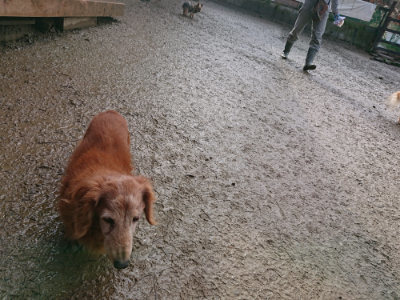 f:id:roukenhome-ann:20190121181331j:plain