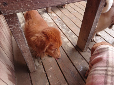 f:id:roukenhome-ann:20190121183526j:plain