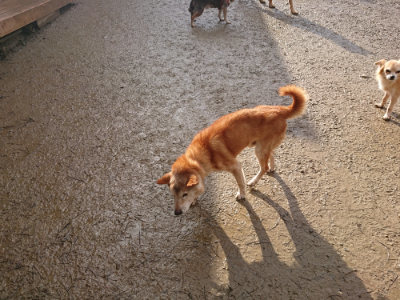 f:id:roukenhome-ann:20190121183551j:plain