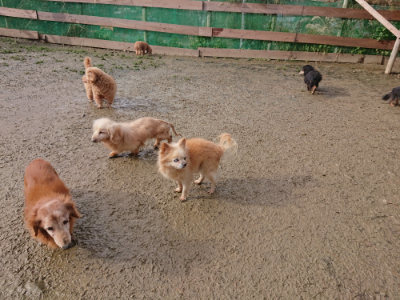 f:id:roukenhome-ann:20190121183556j:plain