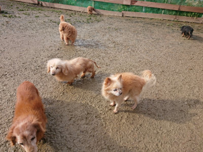 f:id:roukenhome-ann:20190121183616j:plain
