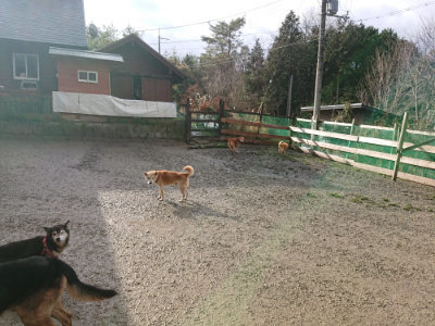 f:id:roukenhome-ann:20190121183722j:plain