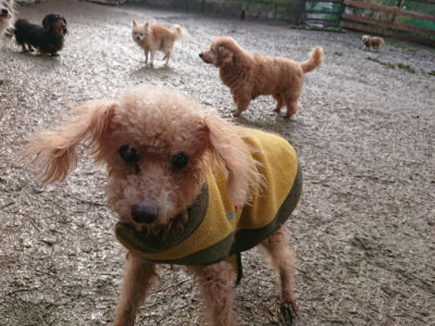 f:id:roukenhome-ann:20190121183805j:plain