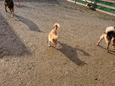 f:id:roukenhome-ann:20190121183819j:plain