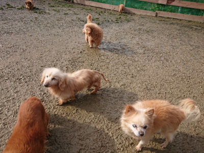 f:id:roukenhome-ann:20190121183858j:plain