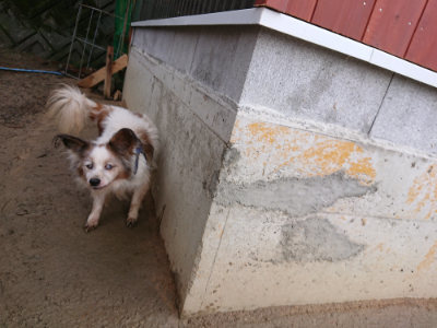 f:id:roukenhome-ann:20190121183919j:plain
