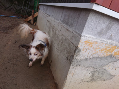f:id:roukenhome-ann:20190121183926j:plain