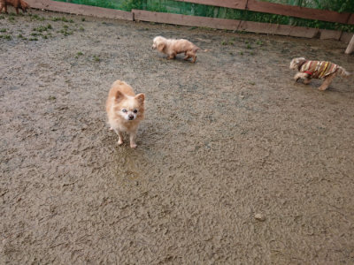 f:id:roukenhome-ann:20190121184411j:plain