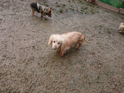f:id:roukenhome-ann:20190121184452j:plain