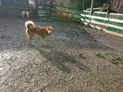 f:id:roukenhome-ann:20190121184512j:plain