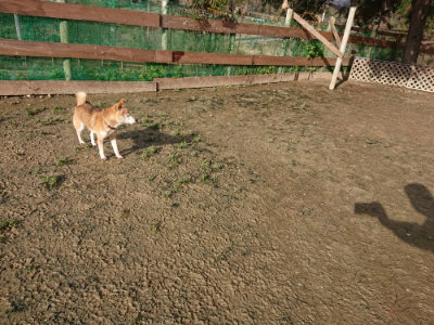 f:id:roukenhome-ann:20190121184532j:plain