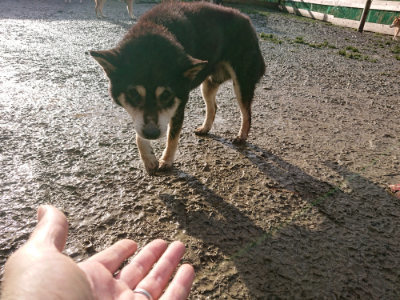 f:id:roukenhome-ann:20190121184814j:plain