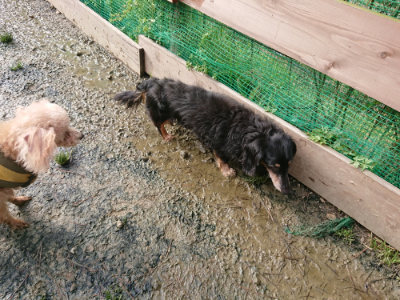 f:id:roukenhome-ann:20190121184843j:plain