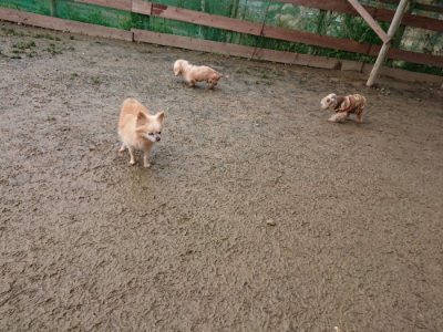 f:id:roukenhome-ann:20190121203939j:plain