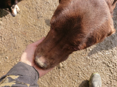 f:id:roukenhome-ann:20190121203953j:plain
