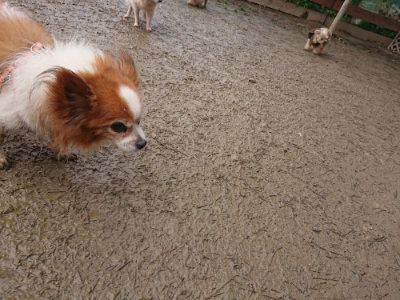 f:id:roukenhome-ann:20190121204001j:plain