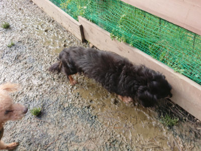 f:id:roukenhome-ann:20190121204008j:plain