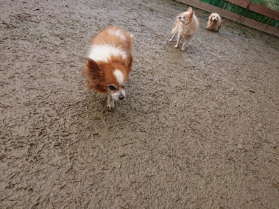 f:id:roukenhome-ann:20190121204050j:plain