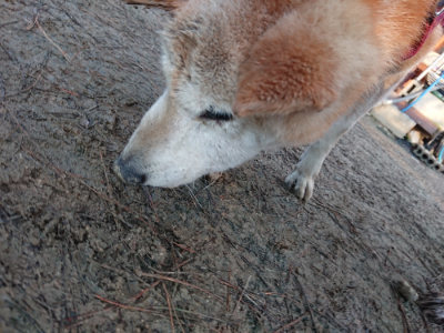 f:id:roukenhome-ann:20190122053736j:plain