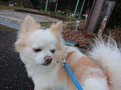 f:id:roukenhome-ann:20190122092046j:plain