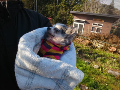 f:id:roukenhome-ann:20190122092729j:plain