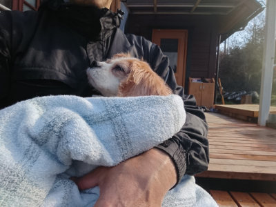 f:id:roukenhome-ann:20190122092738j:plain