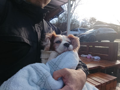 f:id:roukenhome-ann:20190122092743j:plain