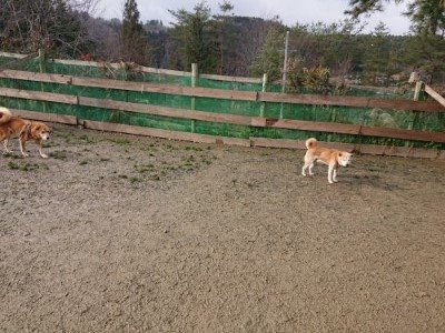 f:id:roukenhome-ann:20190122181603j:plain