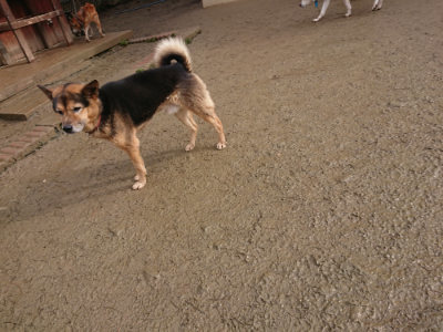 f:id:roukenhome-ann:20190122184138j:plain